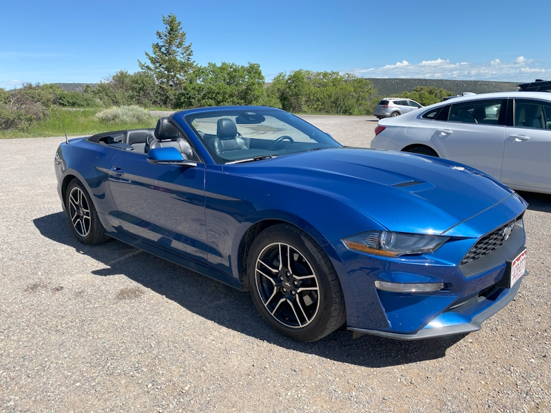 Mustang_01.jpg