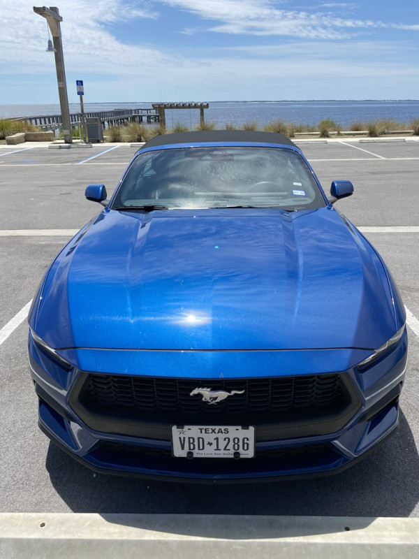Mustang04.jpg