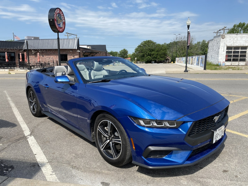 Mustang03.jpg