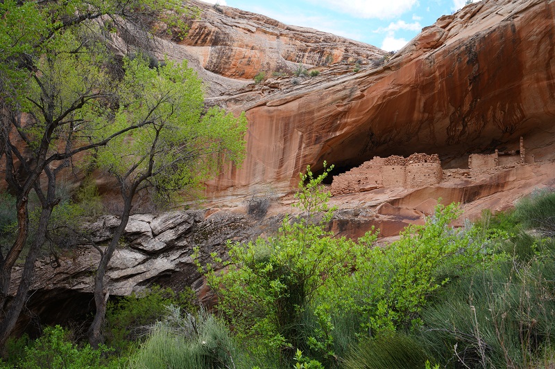 Monarch Cave.jpg