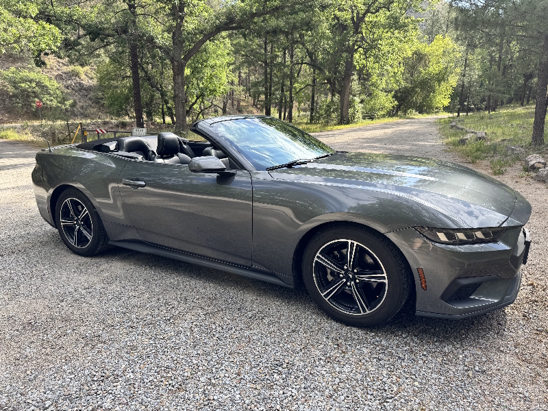 Ford Mustang 02.jpg