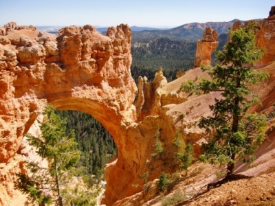 Natural Arch