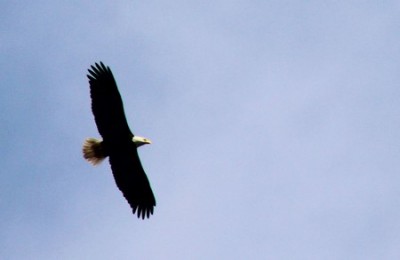 IMG_2445 - Copy.jpg
