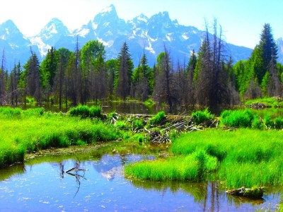 Grand Teton NP, Wyoming: Schwabachers Landing...Een van de mooiste landschappen die ik ooit heb aanschouwd....
