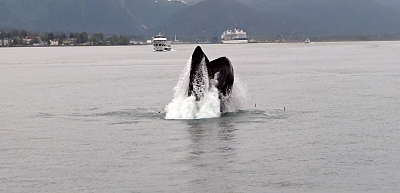 Alaska - 2012-07-03 17u50.jpg