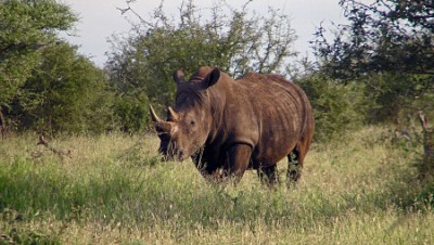 2011-04-13 15-53 514.jpg