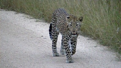 2011-04-14 17-38 731.jpg