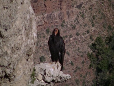 usa2012 172.JPG