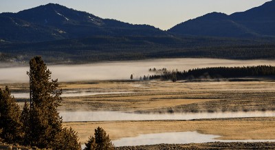 Yellowstone-.jpg