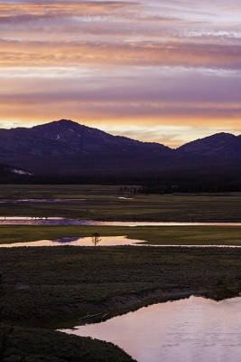 Yellowstone2-.jpg