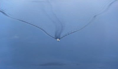 2013-07-01 12-45 059forum.jpg