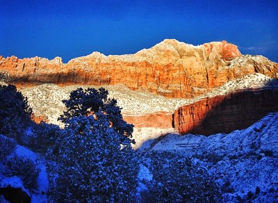 Zion NPforum.jpg