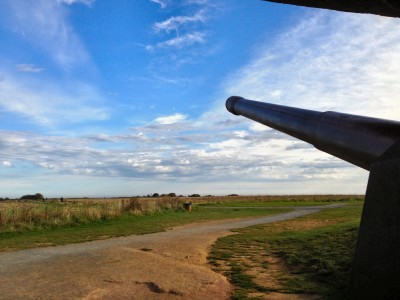 Longues sur mer