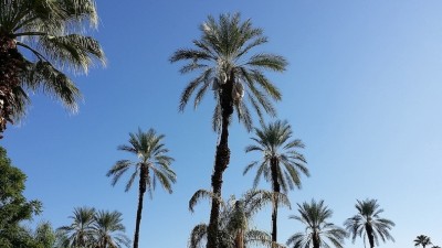 20141009_091047.jpg