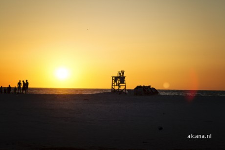 _MG_6451.jpg