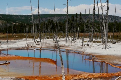 Yellowstone