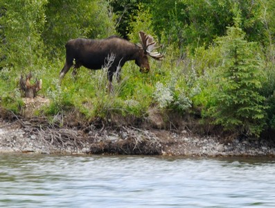 Grand Teton