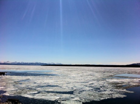 yellake.jpg