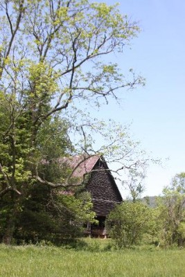 Cades Cove