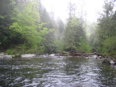 Abrams Creek