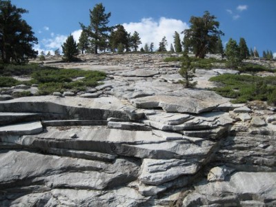 Tioga Road