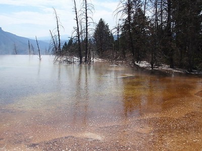 Yellowstone