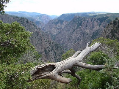 Black Canyon of the Gunnisson