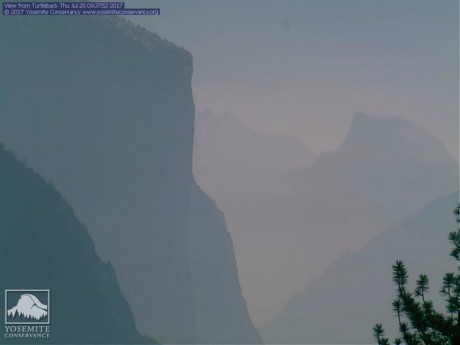 20170720turtleback - kopie.jpg