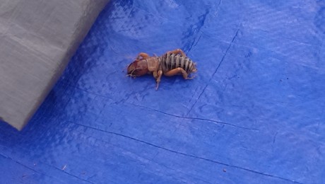 IMAG0590.jpg