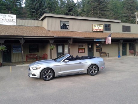 Mustang.jpg