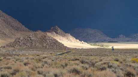 IMG_3671.jpg
