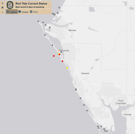 Red tide Jan 6.png