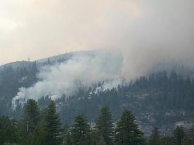 brand Yosemite