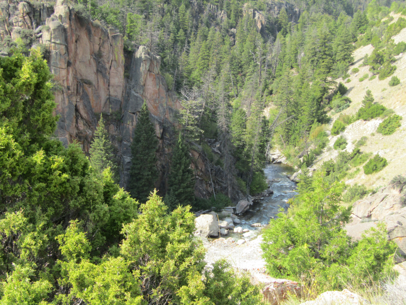Bighorn National Forest