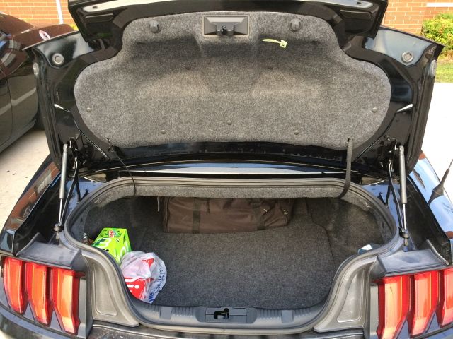 Mustang_20191410_01.jpg