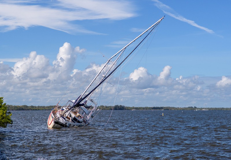 DSC_44491042.jpg