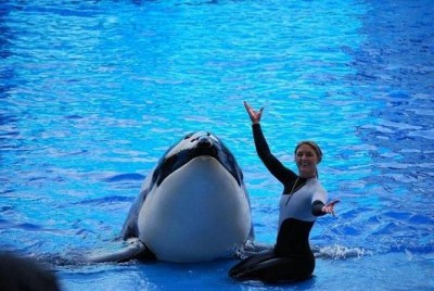 Seaworld.jpg