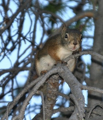 IMG_5370.jpg